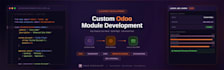 develop custom odoo module, erp integration, and odoo website