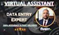 expert data digitization, excel and admin support