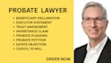 prepare trust amendments, inheritance claims, codicils and probate pleadings