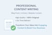 professional content and article writer