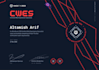 secure your websites via offensive testing