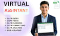 do accurate data entry, copy paste, data cleaning, excel data entry jobs