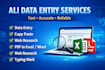 provide data entry service