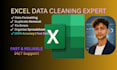 do excel data cleaning, formatting and duplicate removal