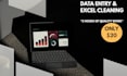 do expert data entry and excel data cleaning