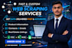 scrape website data and deliver clean excel or google sheets