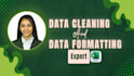 do professional data entry, data cleaning and excel cleanup