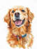 do a custom pet portrait, dog portrait, cat portrait