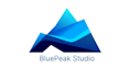 do professional custom logo design servise