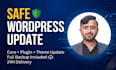 safely update wordpress websites