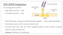 create professional and scientific research presentations