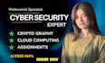 help you cybersecurity cloud computing vulnerability cryptography assignments