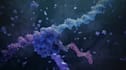 create professional 3d medical animation