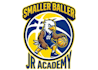 design luxury basketball logo
