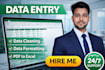 do excel data entry, data entry, PDF to excel data entry