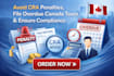 help you avoid cra penalties file overdue canada taxes and ensure cra compliance