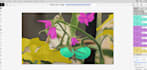 do professional data annotation and labeling