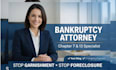 provide expert bankruptcy advice and debt relief guidance in the US