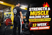 create a personalized strength training and muscle building program