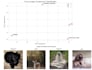 build machine learning models, image classification and data science projects in