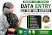 do data extention, lead generation and email collection