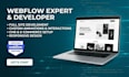 build a professional webflow website with cms