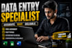 data analyst entry expert