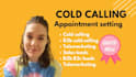 b2b b2c real estate cold calling and appointment setting