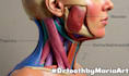 make medical science illustrations with artistic effects