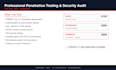do a professional penetration test and security audit of your web application