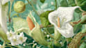 design best botanical illustration