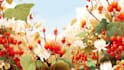 do personalised botanical illustrations