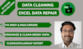 clean and organize your data in excel quickly and accurately