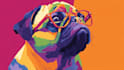 draw your pet into wpap pop art