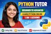 tutor python with projects and assignments