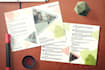 design professional brochure, bifold, trifold and catalog