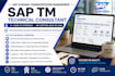 provide sap tm technical development, enhancements, apis and abap support