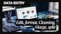 data entry, cleaning, marge,split