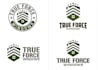 design original force logo just in 24 hours