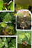 create a custom pinterest moodboard for your brand or idea