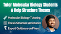 tutor molecular biology students and help structure theses
