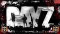 set up a dayz server with mods and scripts for you