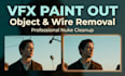 do vfx paint, object removal, wire removal and screen cleanup