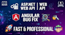 fix asp net core web api and angular bug fixing