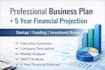 write a professional business plan for startup, loan, and investors