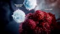 3d medical animation for anatomy, immunotherapy and healthcare explainer videos