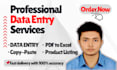 do urgent data entry,PDF to excel and manual data typing services