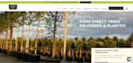 help you by creating stunning websites