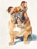 draw your cute pet into cartoon portrait style