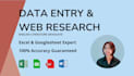 be your professional virtual assistant for data entry and excel tasks